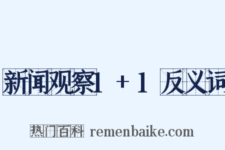 新闻观察1+1反义词是什么意思的图片